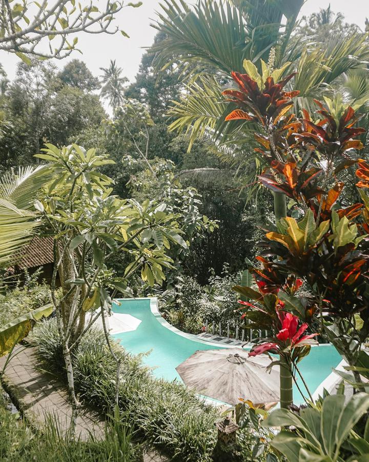 Hotel Song Broek Bali Payangan Exterior foto