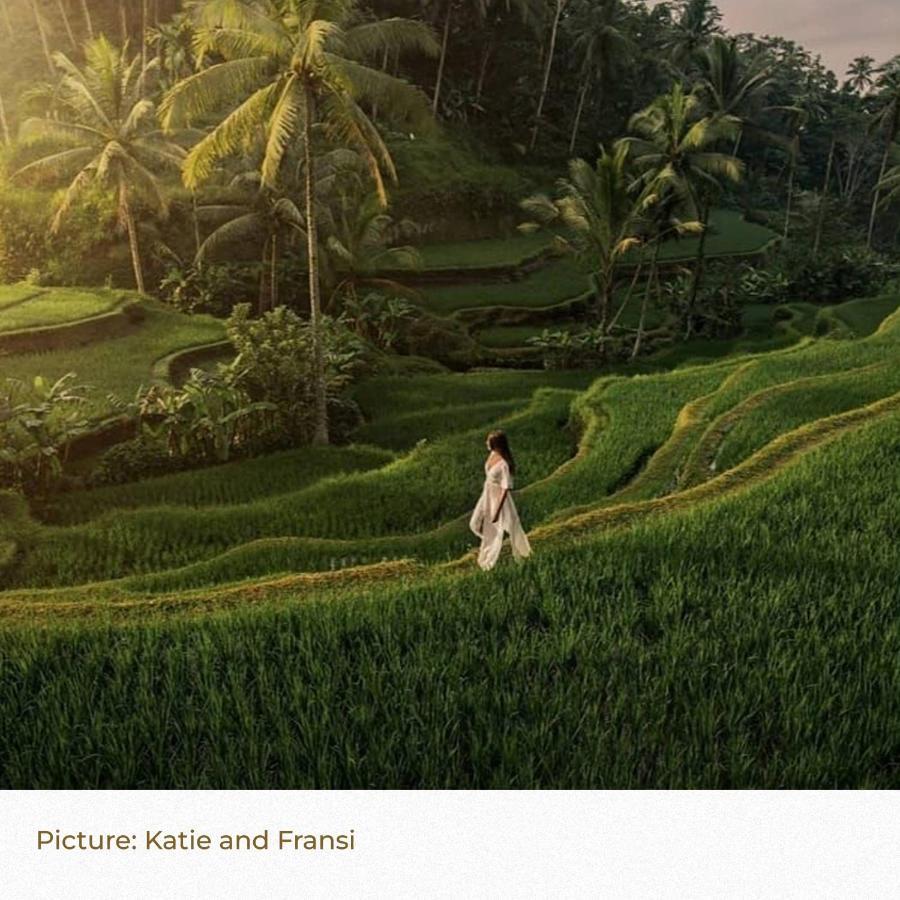 Hotel Song Broek Bali Payangan Exterior foto