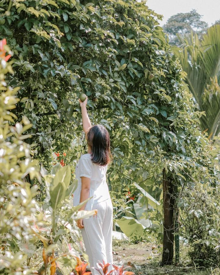 Hotel Song Broek Bali Payangan Exterior foto