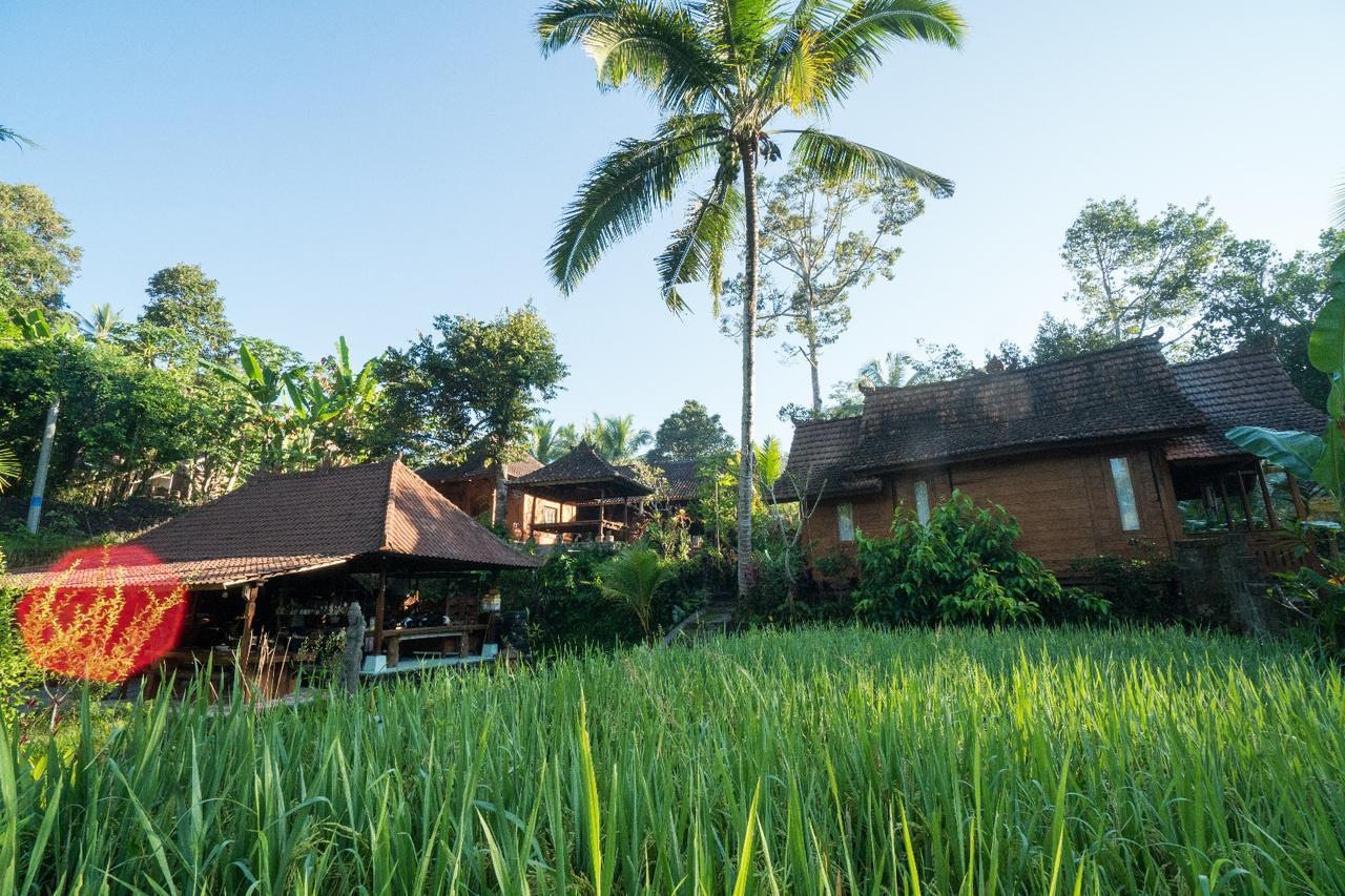 Hotel Song Broek Bali Payangan Exterior foto